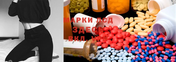ECSTASY Алзамай