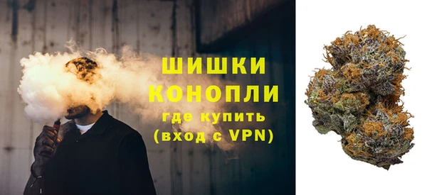 стафф Аркадак