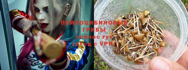 амфетамин Алексеевка