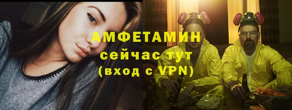 ECSTASY Алзамай
