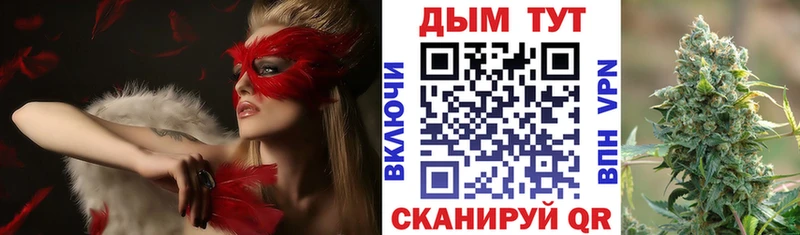 Каннабис планчик Пустошка