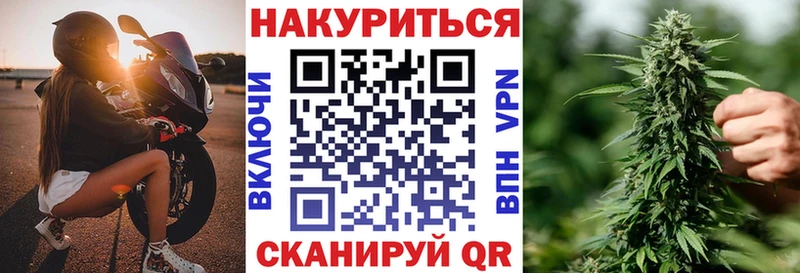 Каннабис OG Kush  Пустошка 